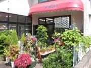「木村生花店」　（鳥取県境港市）の花屋店舗写真1